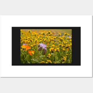 Wildflowers in Bloom Posters and Art